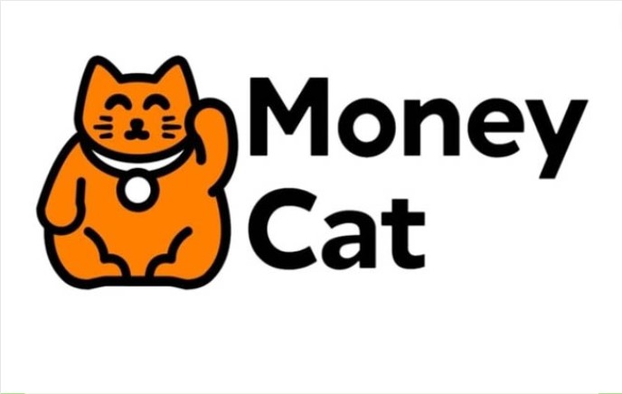 money-cat-vay-tien